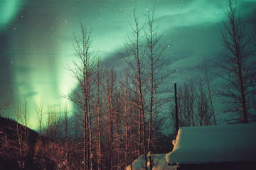 Aurora Borealis Mountaintop Viewing from Cabin with Transportation from Fairbanks
