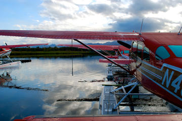 Small-Group Tour: Anchorage Half-Day Tour
