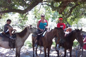 Horse Back Riding and Howler Monkey Sanctuary from Belize City