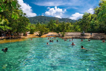 Jungle Tour Hot Spring and Emerald Pool