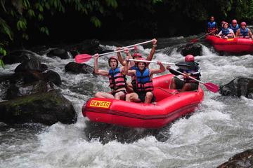 BALI WHITE WATER RAFTING