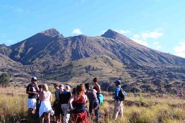 Mount Batur Sunrise Bali Trekking And Tours