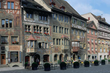 Rhine Falls and Stein am Rhein Half-Day Tour from Zurich