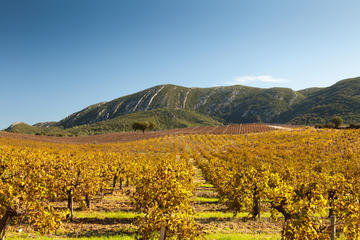 Arrabida Natural Park Full-Day Private Tour from Lisbon