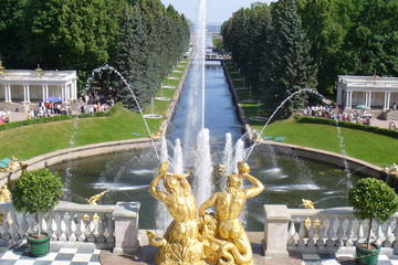 Saint Petersburg Half-Day Tour of Peterhof (Petrodvorets)