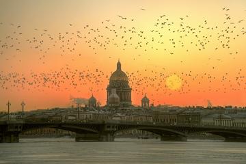 Saint Petersburg Shore Excursion: 1-Day Highlights Tour