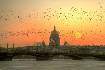 St Petersburg Full-Day City & 4 Museums Tour