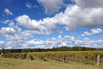 Hunter Valley Wineries and Wilderness Small-Group Tour
