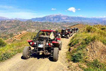 Malaga Shore Excursion: Panoramic Buggy Tour with Wine Tasting in a Historical Cellar