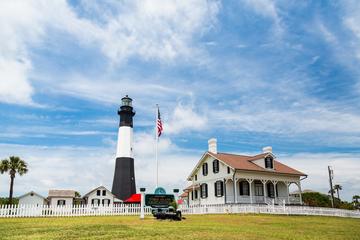 Tybee Island Dolphin Tour