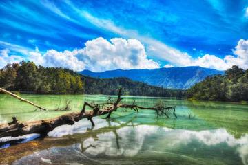 Private Day Trip: Java Highlander Tour from Semarang