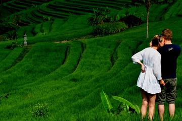 Private Tour: East to the North of Bali