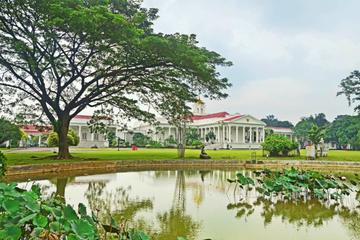 The Breeze of Bogor
