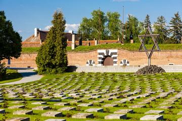Half-Day Terezin Ticket and Tour from Prague