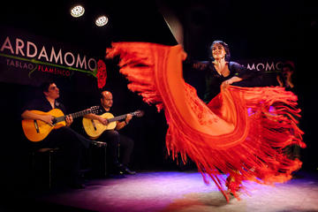 Madrid Flamenco and Wine Tour