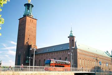 Stockholm Panoramic Sightseeing Tour