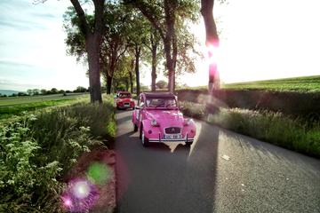 Paris Vintage Car Private Trip to Versailles Including Entrance Tickets