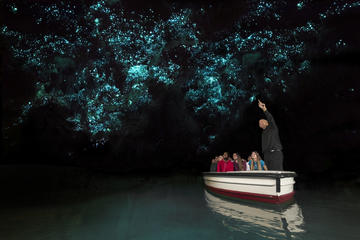 Auckland to Rotorua via Waitomo Glowworm Caves One-Way Tour
