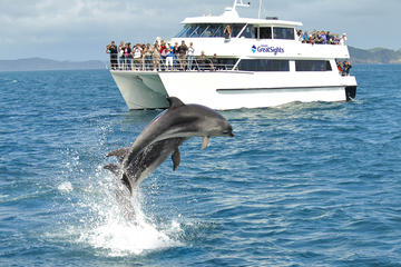 Full-day Bay of Islands, Hole in the Rock and Dolphin Cruise Tour from Auckland