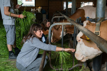 Interlaken Swiss Food and Culture Walking Tour