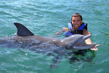 Rencontre avec les dauphins en france