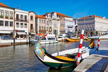 Aveiro and Bairrada Small Group Tour Food and Wine