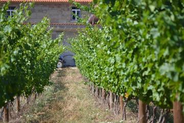 Trás-os-Montes, Douro Tour with Food and Wine Tastings