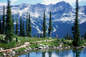 Whistler Mountains and Adventures Tour Including Admission to Scandinave Spa