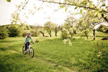 Private Easy Biking Tour of Prague Parks