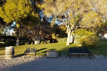 Outdoor Wedding Ceremony at a Private Rustic Ranch in Las Vegas by Limousine