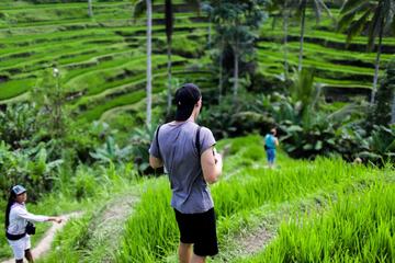 Ubud Tour With Rice Terrace Tegallalang Hiking and Coffee Plantation