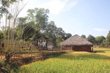 Heritage and Culture Excursion in Kandy