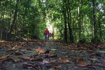 Private Day tour- Rain Forest trekking from Galle