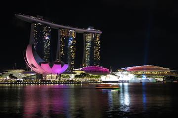 Singapore (SIN) - Private Transfer