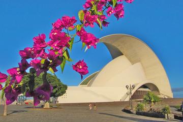 Tenerife Airport (TFS) - Private Transfer