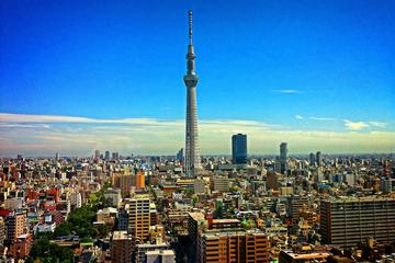 Tokyo Airport (HND) - Private Transfer