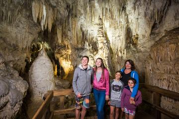 1-Hour Guided Aranui Cave Tour