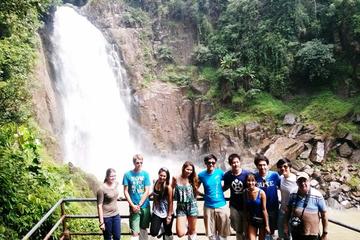 Full Day from Bangkok: Explore Khao Yai National Park - Waterfall - Viewpoints with Authentic Cooking and Thai market tour