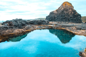 Mornington Peninsula Hiking Tour from Melbourne