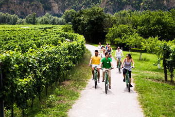 Small Group Wachau Valley Winery Bike Tour