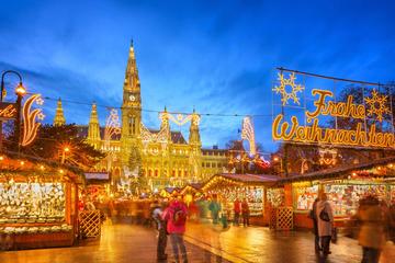 Vienna Small-Group Christmas Market Walking Tour