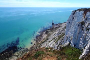 Full Day Small-Group White Cliffs of Sussex Tour from London