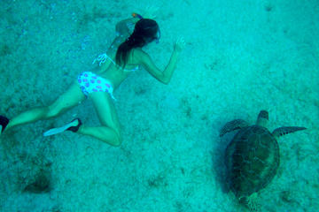 Turtle Swim and Catamaran Tour to Buck Island