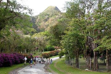 Anton Valley Highlights Tour From Panama City