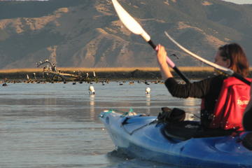 Kayak tour into the Wairau Lagoon