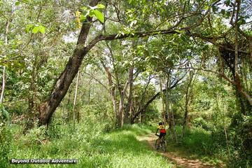 La Mesa Single Tracks Mountain Bike Tour from Makati