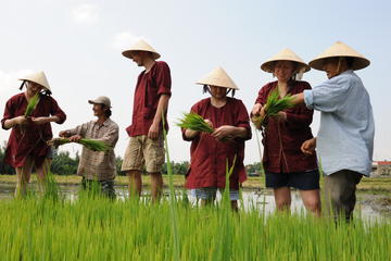 Rice Planting and Fishing Day Trip from Hoi An