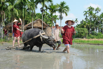 Small-Group Hoi An Country Life Agricultural Experience