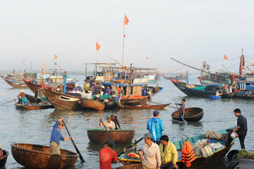 Sunrise Fish Market Tour in Hoi An
