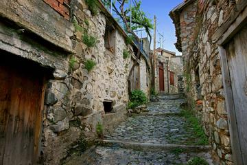 Excursion to Troodos mountain villages from Protaras in German